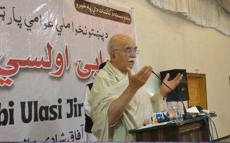 ادارو ته به په سياست کښې مداخلت بندول وي، محمودخان اچکزئي