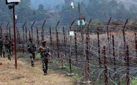 پاک پوځ په ايل او سي دهند دپارونکو ډزو خله ماتے جواب ورکړے