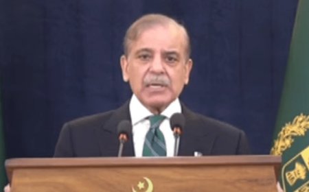 ددشمن سره مو هاغه څه وکړل کوم چې يو باوقاره قوم کولے شي، دوزيراعظم قوم ته خطاب