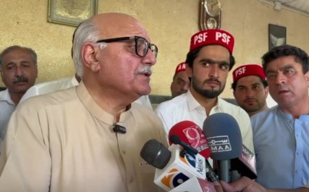 مجوزه مائنز اؤ منرلز بل په ريموټ کنټرول منظور کړے شو، ميا افتخار