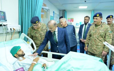 دښمن مو داسې په څپېړه وهلے چې کله به ئې هېره نه کړي،شهبازشريف