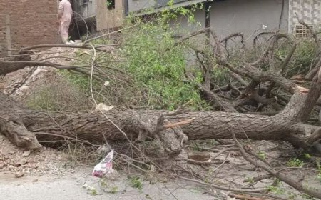 خېبرپښتونخوا کښې زول اؤ طوفان، پېښور کښې دماشوم پشمول درې مړۀ