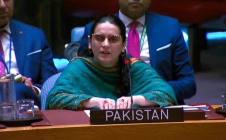 درياستي دهشت ګردۍ بندولو سره دې بهارت بامعنې مذاکرات وکړي،پاکستان