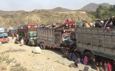 کوهاټ دپټي کمېشنر ويلي، تر 300و  پورې افغان سيټيزن کارت لرونکې کورنۍ يې ستنې کړې