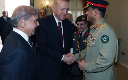 استنبول کښې ترک صدر سره دوزيراعظم شهبازشريف ليدنه، دشريک کار جاري ساتلو عزم