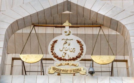 دسويلينز ملټري ټرائيل نه شي کيدے، ددوه ججانو اختلافي نوټ