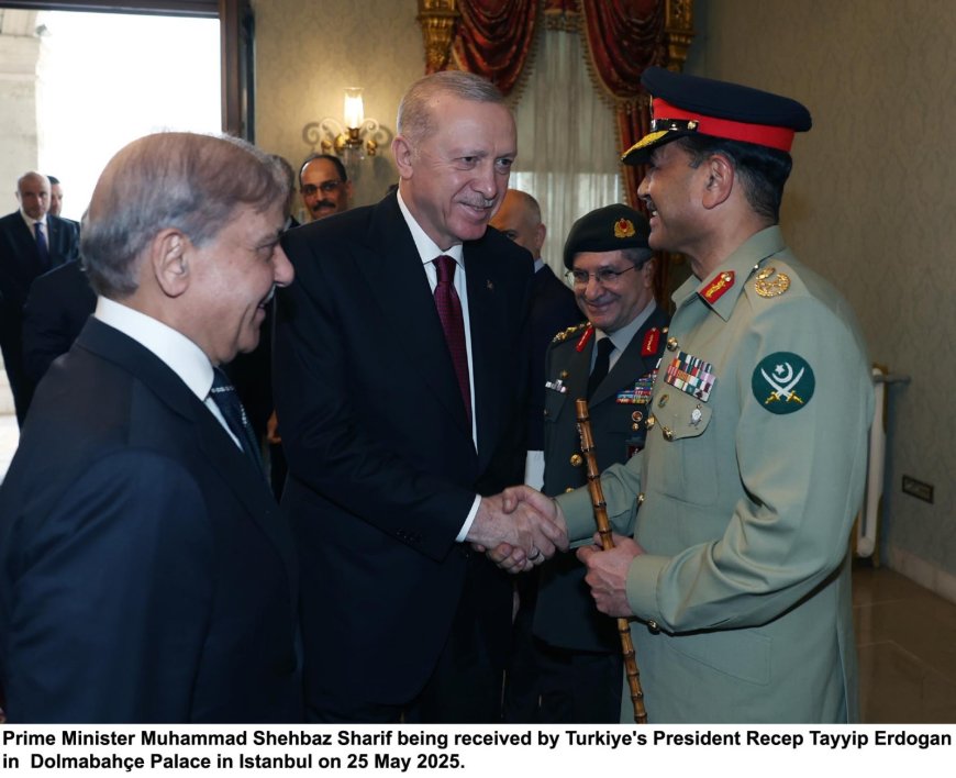 استنبول کښې ترک صدر سره دوزيراعظم شهبازشريف ليدنه، دشريک کار جاري ساتلو عزم