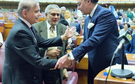 د17573 اربو روپو وفاقي بجټ پيش، تنخادارې طبقې اؤ پراپرټۍ  لپاره ريليف،په سولر پينل ټيکس ولګول شو