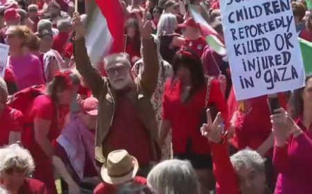 نيدرلينډز کښې دزرګونو خلقو دفلسطينيانو په حق کښې مظاهره