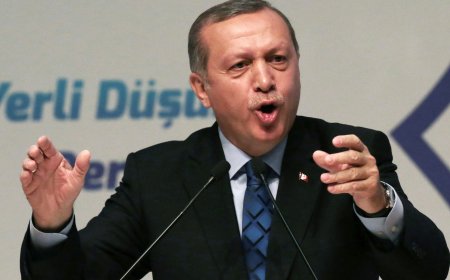 نيتن ياهو دهټلر پشان ټوله نړۍ کښې بدمعاشي کوي، ترک صدر