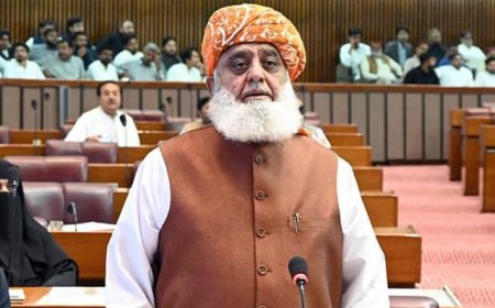 په اسلام اباد قبضې کولو ته دې مجبور نۀ کړے شو، مولانا فضل الرحمان