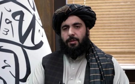 چاته به دپاکستان خلاف دافغان خاورې داستعمال اجازت نۀ ورکوو، حمدالله  فطرت