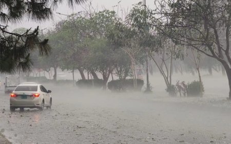 پنجاب کښې  دباران اؤ زول دلاسه تباهي،١٢ مړۀ