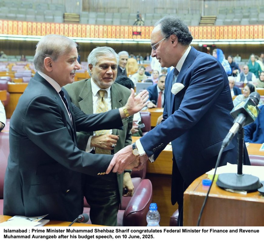 د17573 اربو روپو وفاقي بجټ پيش، تنخادارې طبقې اؤ پراپرټۍ  لپاره ريليف،په سولر پينل ټيکس ولګول شو