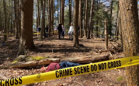 مصر کښې ټريفکي پېښه،٩ مړۀ،١١ ژوبل