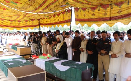 دباجوړ چاؤدنې مقدمه درج، داوو ترهه ګرو نشاندهي، دګورنر دايل ار ايچ دوره