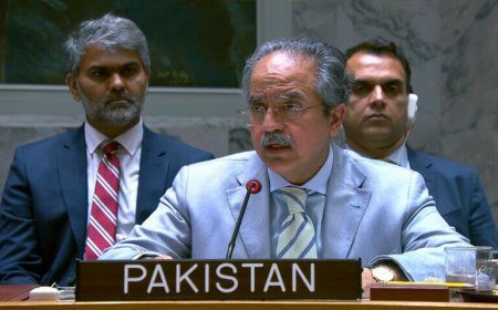 ټي ټي پي او بلوچ شدت خوښو دافغان خاورې نه خپلې کارروايۍ جاري ساتلي،عاصم افتخار