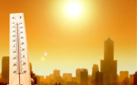 په يورپ کښې دسختې ګرمۍ دلاسه په ١٠و ورځو کښې 2300 کسان مړۀ