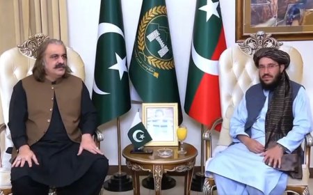 پاکستان اؤ افغانستان ته به دپرامنه مستقبل لپاره په شريکه کار کول وي