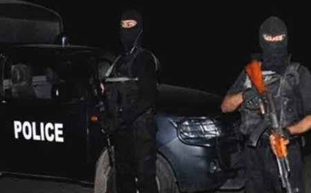 پنجاب کښې را سره تعلق لرونکي ١٢ ترهه ګر ګرفتار