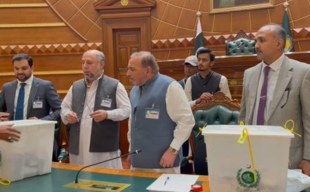 سينيټ اليکشن، خېبرپښتونخوا کښې دپي ټي ائي 6  اؤ  دحزب اختلاف 5 اميدواران کامياب