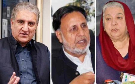 دنهمې مئ سانحې کيس،ياسمين راشد اؤ محمود الرشيد ته دلسو، لسو کلونو دقيد سزا واورول شوه