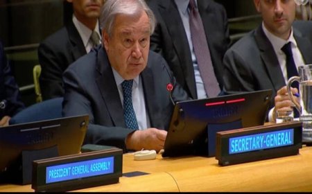 دانتونيو ګوتيريش دفلسطين دستونزې په دوه رياستي حل زور