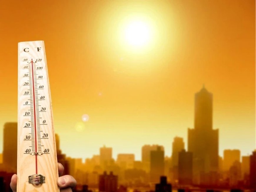 په يورپ کښې دسختې ګرمۍ دلاسه په ١٠و ورځو کښې 2300 کسان مړۀ