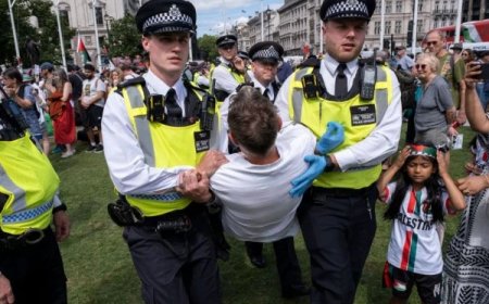 لندن کښې دفلسطينيانو په حق کښې مظاهره،٤٦٦ ګرفتار