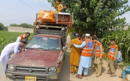 دباجوړ اپريشن متاثرينو لپاره  دامدادي پيکج اعلان