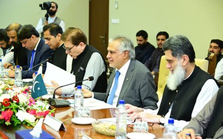 افغان چارواکي دې دټي ټي پي اؤ مجيد بريګيډ خلاف قابل تصديق ګامونه واخلي،اسحاق ډار