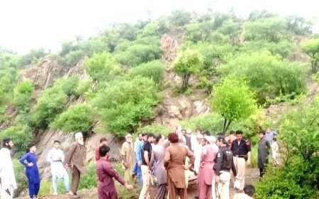 نوښار کښې د دوو ملګرو اجتماعي خودکشي