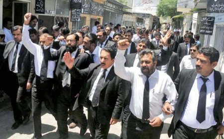 د ميا عاصم کاکاخيل ايډوکيټ په قتل په ټوله صوبه کښې د وکيلانو دعدالتونو نه بائيکايټ