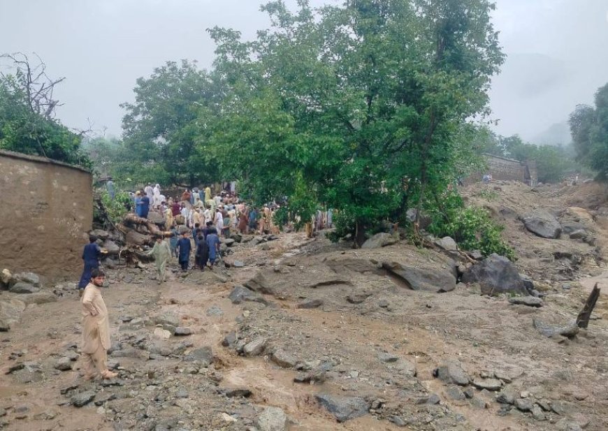 خېبرپښتونخوا کښې سيلابونو تباهي خوره کړه،205 مړۀ،33 بې درکه