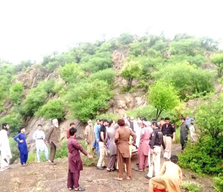 نوښار کښې د دوو ملګرو اجتماعي خودکشي