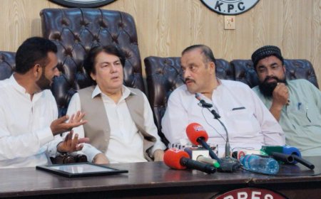 دايمل ولي سيکورټي به يقيني کوو، بيرسټر سيف