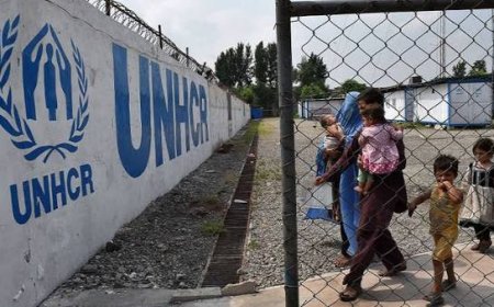 په کوهاټ کې د "يو اېن اېچ سي ار" ساحوي دفتر وتړل شو