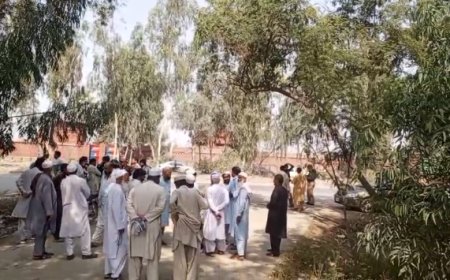 نوښار، شوکمارو په مزاحمت دټرک ډرائيور قتل کړو