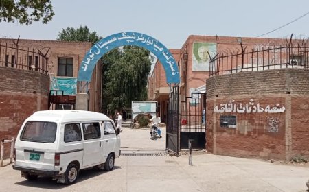 په کوهاټ کې د ډينګي ويروس ساري ناروغي ډېره شوې