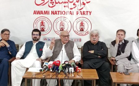 دايمل ولي دسينيټ تقرير دپارټۍ اجتماعي بيانيه ده، ميا افتخار