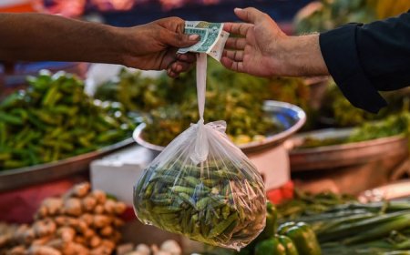 سږکال په پاکستان کښې دګرانۍ سيوا کيدو امکان دے، عالمي بينک