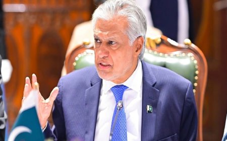 پاکستان دمتحده قامونو دانساني حقونو دکونسل غړے منتخب