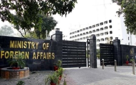 افغان  نائب ناظم الامور خارجه دفتر ته طلب، افغانستان نه پاکستان کښې په ترهه ګرۍ احتجاج