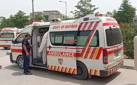 شمالي وزيرستان کښې ترهه ګرو دبهتې نۀ ورکولو له امله 6 کسان ژوندي وسوزول