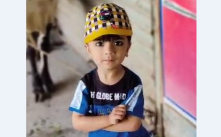 نوښار، دډينګي له امله پينځه کلن ماشوم پحق ورسيدو