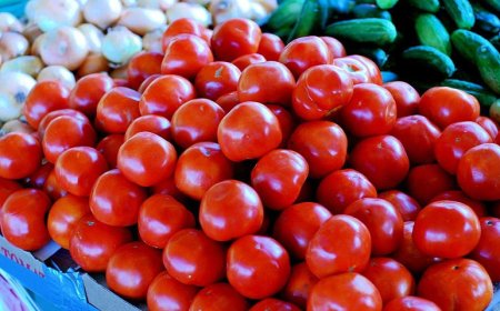 پاکستان،ايران نه درامد اؤ دمقامي سپلايۍ په وجه دټماټرو نرخ راپريوتو