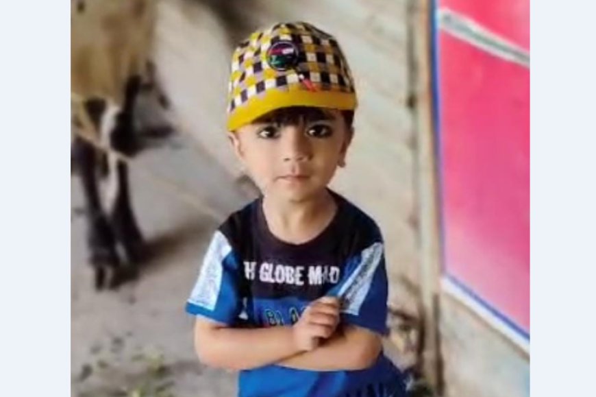 نوښار، دډينګي له امله پينځه کلن ماشوم پحق ورسيدو