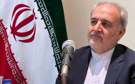 دصهيوني جارحيت په مقابله کښې  پاکستان فيصله ايز کردار ادا کړيدے، ايراني سفير