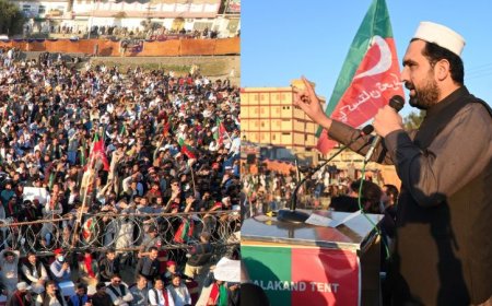 په صوبه کښې خودساخته دهشت ګردي شروع کړے شوې ده، وزيراعلى سهيل افريدے