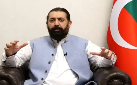 دعمران خان اؤ بشرى بي بي کردار کشي دې بنده کړے شي، تحريک انصاف